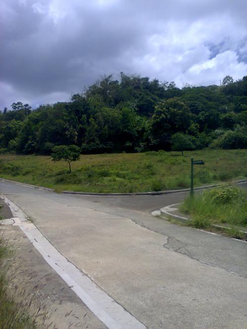 FOR SALE: Lot / Land / Farm Batangas > Other areas 7