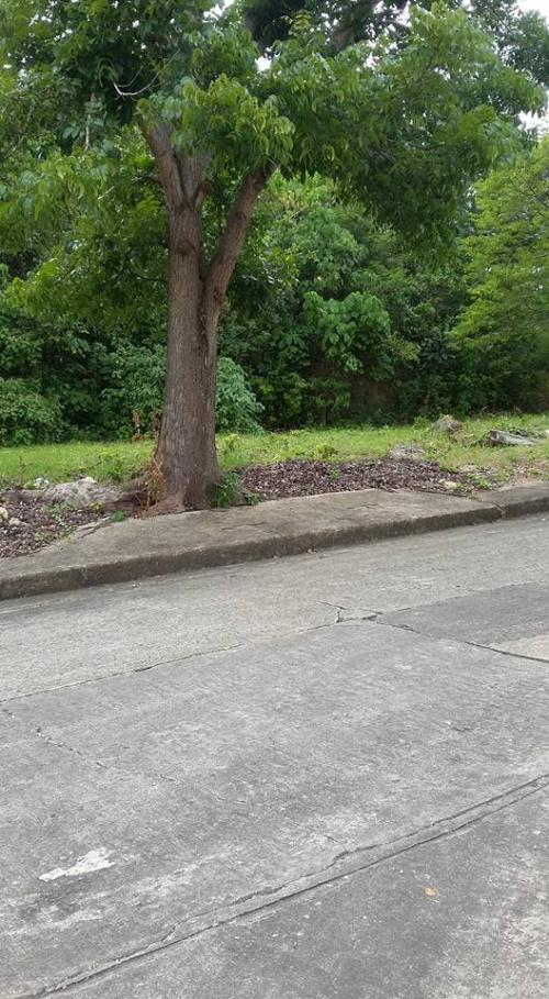 P 12,500/sq.m. PRICE   P 12,5000/sq.m. No more terms  All available lot is for spot cash payment.. 