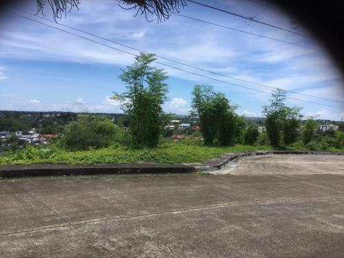 THE ROYALE CEBU ESTATES. Few remaining inventories awaits you in a fully developed First Class residential subdivision with an existing community.