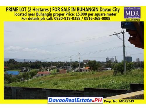 2 Hectares Lot for Sale in Buhangin, Davao City