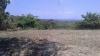 FOR SALE: Lot / Land / Farm Batangas > Other areas 7