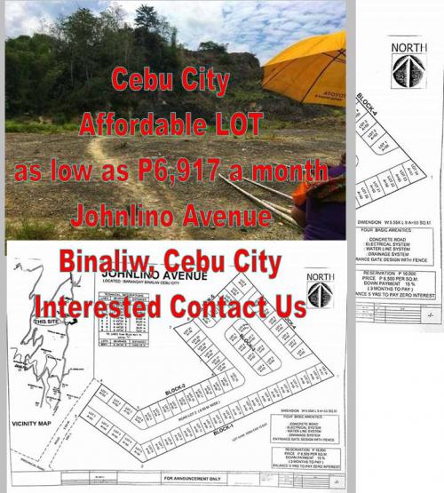 FOR SALE: Lot / Land / Farm Cebu