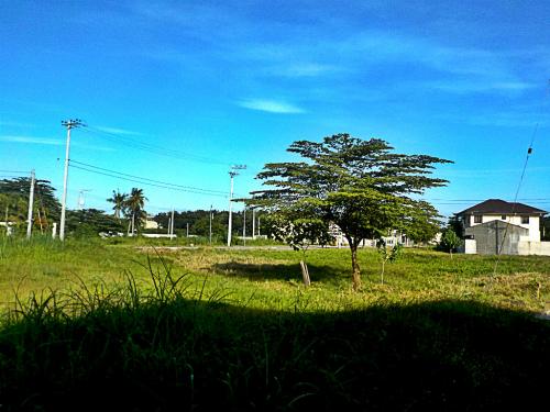FOR SALE: Lot / Land / Farm Cebu > Mactan 4