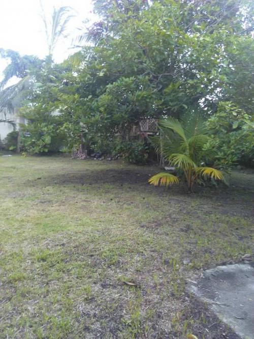 FOR SALE: House Negros Occidental 6