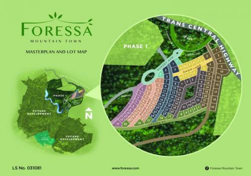 FOR SALE: Lot / Land / Farm Cebu > Other areas 1