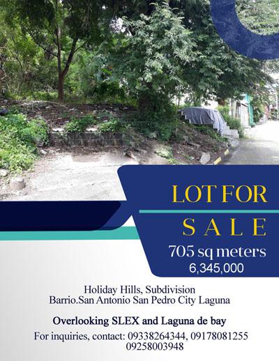 San Pedro Laguna Lot for Sale