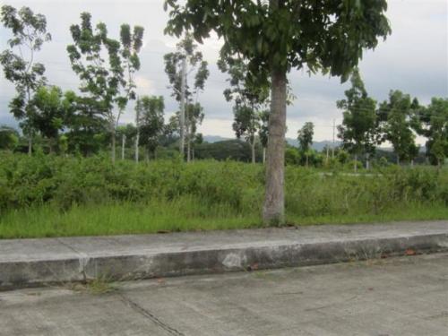 FOR SALE: Lot / Land / Farm Cebu > Other areas 4