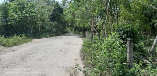 FOR SALE: Lot / Land / Farm Bohol > Other areas 2