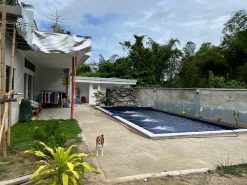 FOR SALE: House Leyte > Other areas 6