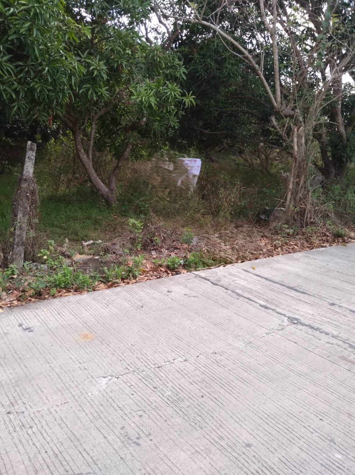 Residential Lot for Sale in Cavite — ₱20.2M
